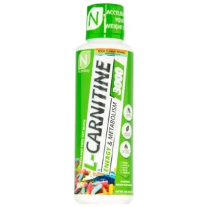 Quemador de grasa L-CARNITINE 31 Servicios